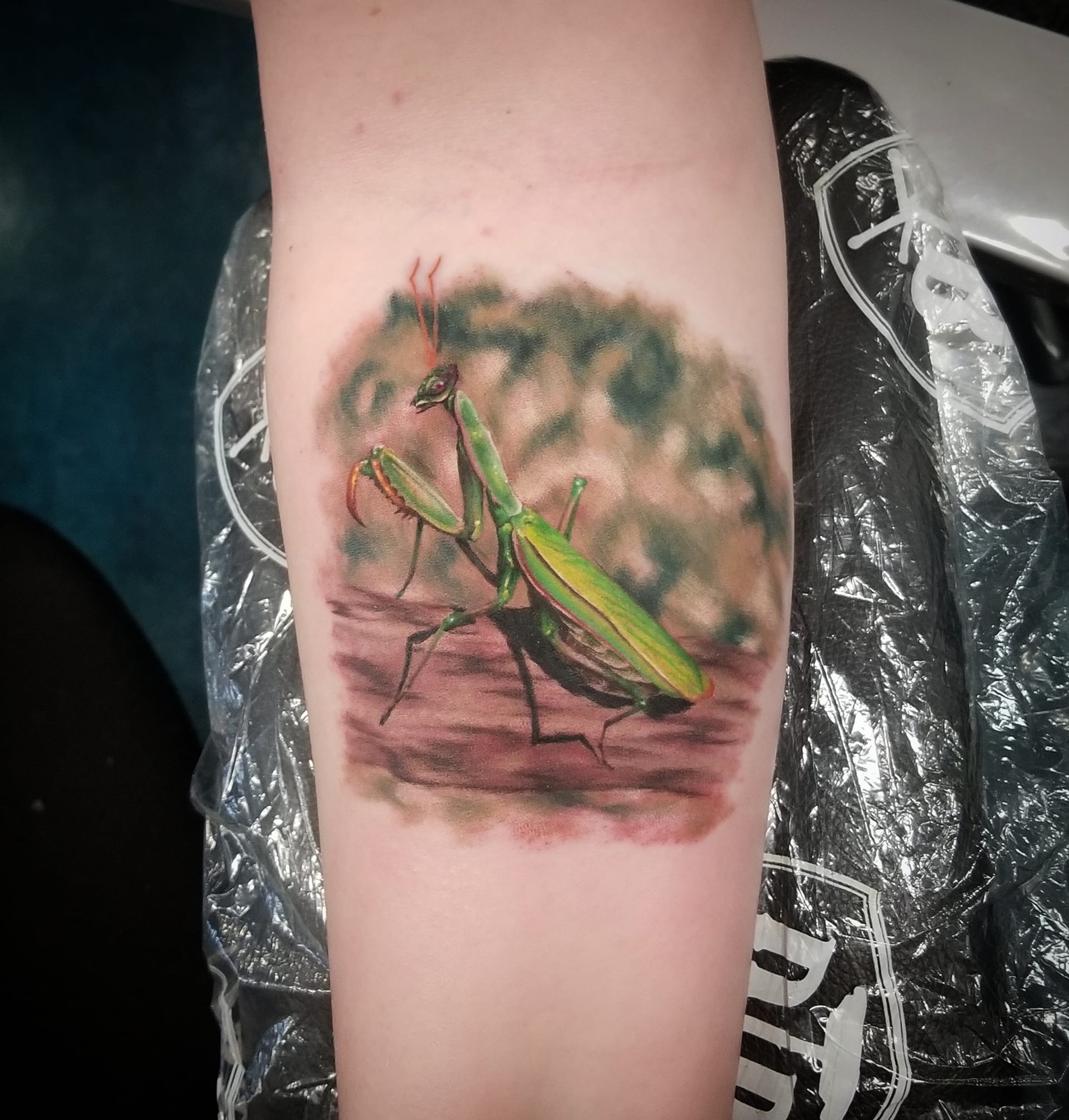 10 Awe Inspiring Praying Mantis Realistic Tattoo Ideas