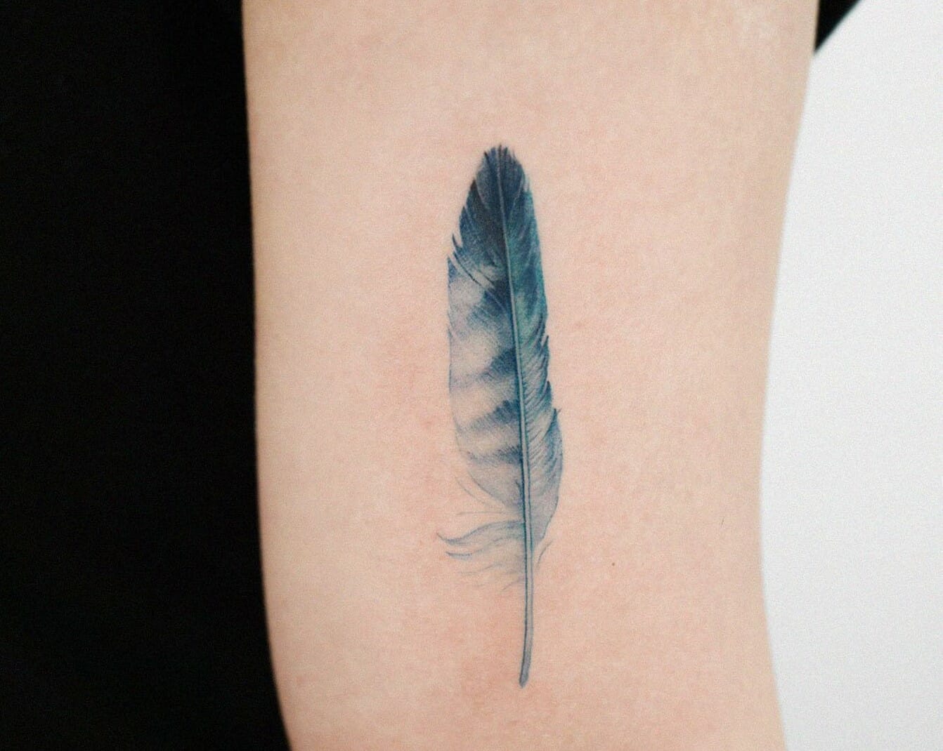 10 Best Female Feather Tattoo Designs That Will Blow Your Mind