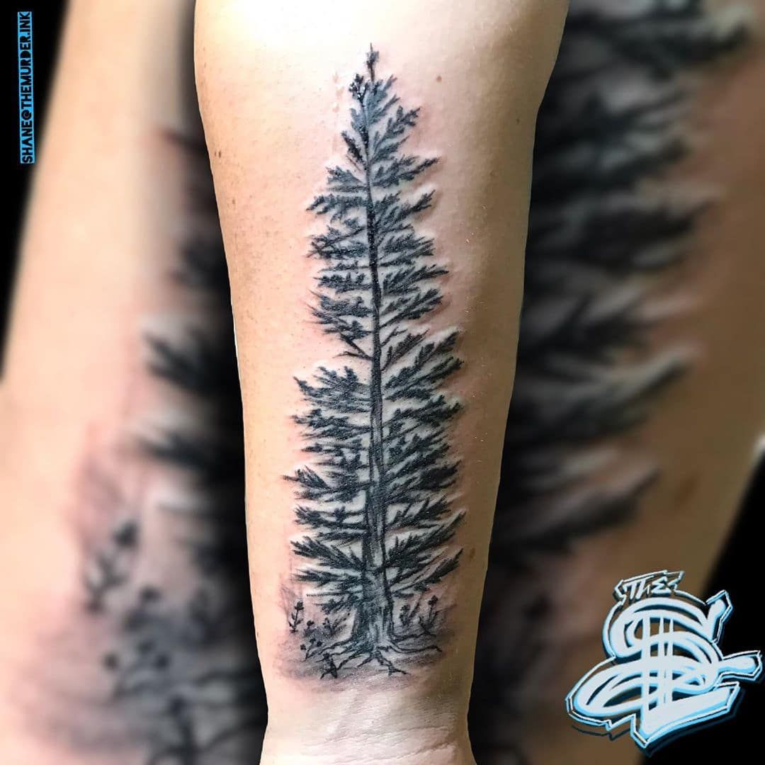 101 Amazing Pine Tree Tattoo Ideas Will Love Outsons Men S Fashion