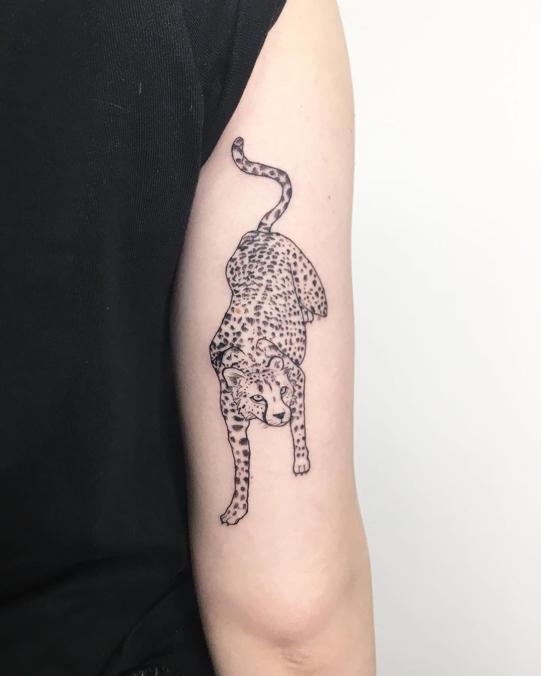 101 Best Cheetah Tattoo Ideas You Amp 39 Ll Have To See To Believe