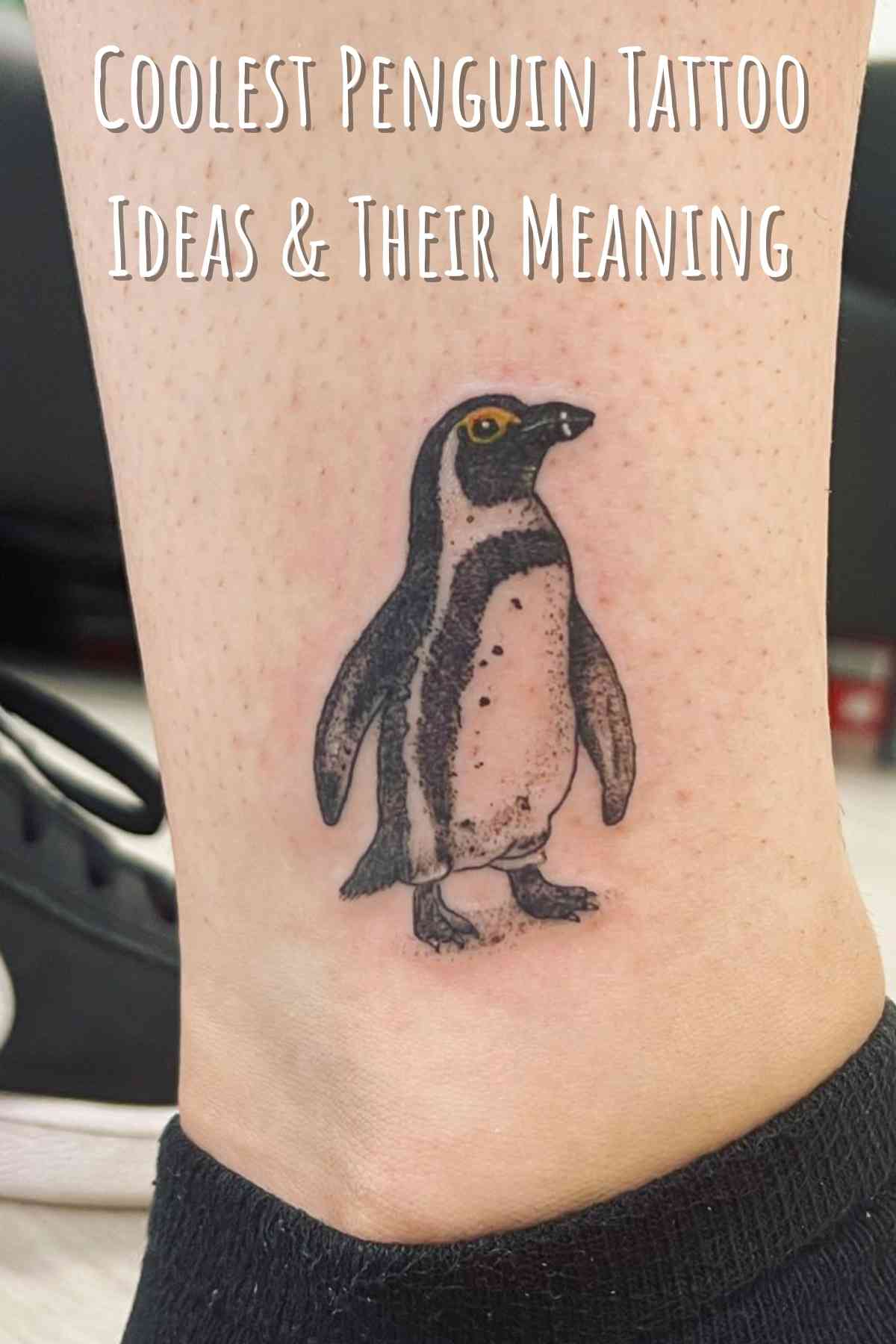 101 Coolest Penguin Tattoo Ideas Amp Their Meaning Tattoo Glee