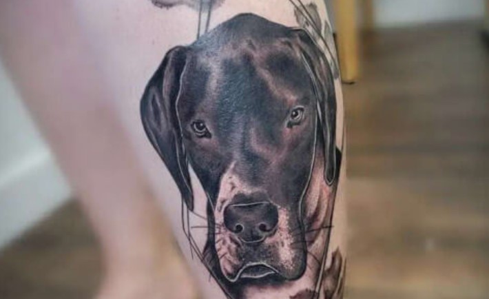 12 Best Great Dane Tattoo Ideas Designs Pet Reader