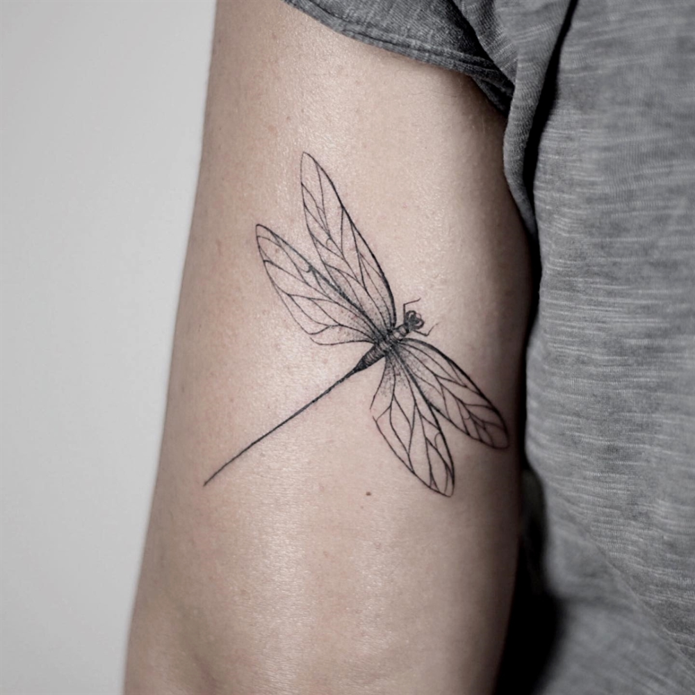 1311 Best Images About Tattoo Amp 39 S On Pinterest Dragonfly Tattoo Design Crown Tattoos And Cross