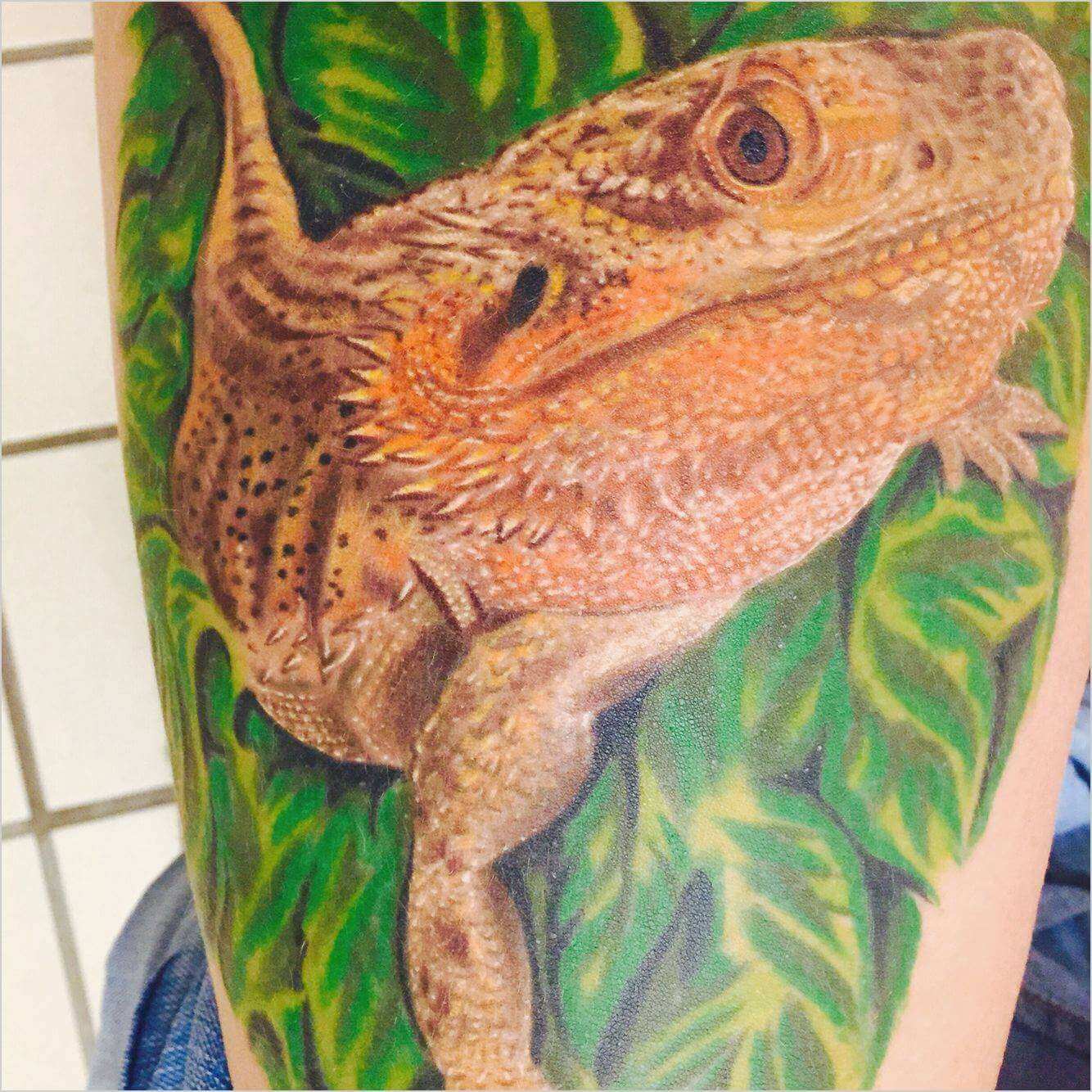 15 Bearded Dragon Tattoo Ideas Designs Meanings Petpress