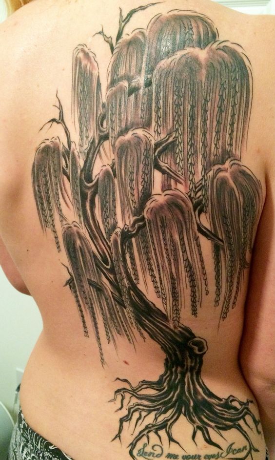 15 Best Willow Tree Tattoo Designs