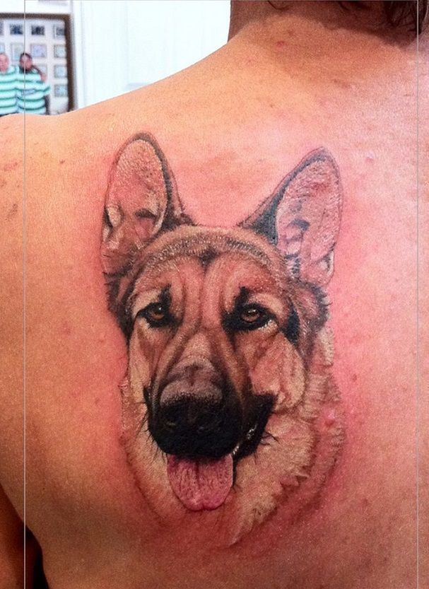 15 German Shepherd Tattoo Ideas Buzzsharer Com