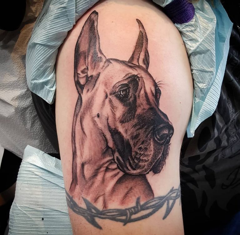 15 Great Dane Tattoo Ideas Buzzsharer Com