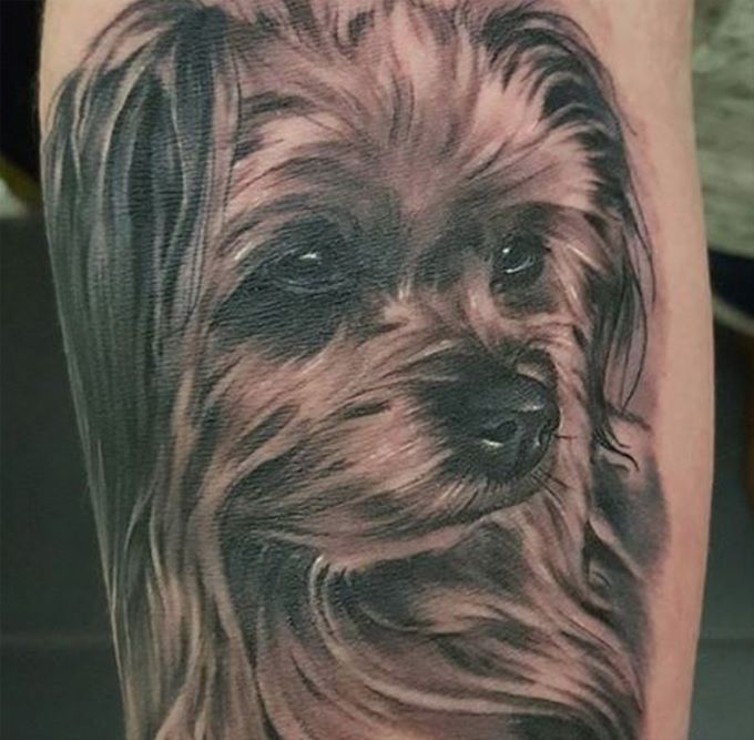 15 Of The Best Yorkshire Terrier Tattoo Ideas Ever Petpress