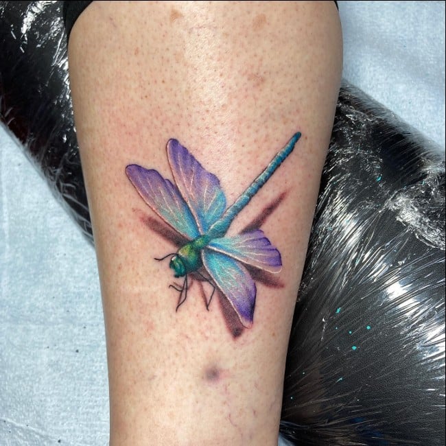 158 Elegant Dragonfly Tattoos With Simple Designs And Unique Ideas