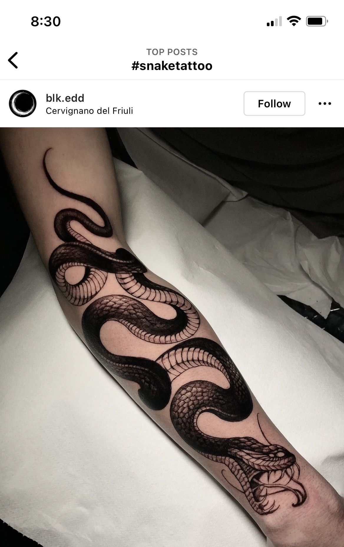 17 Snakes Wrapped Around Arm Tattoo Designs Ideas Artofit