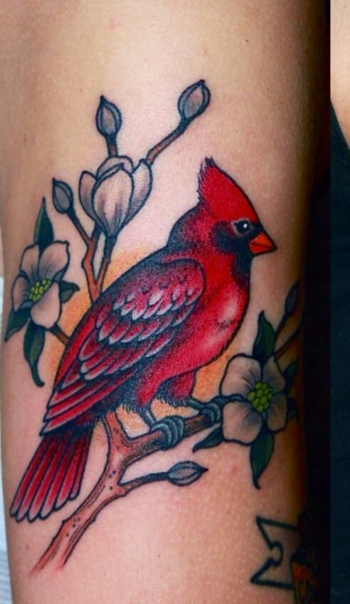 180 Best Cardinal Tattoos Designs With Meanings 2022