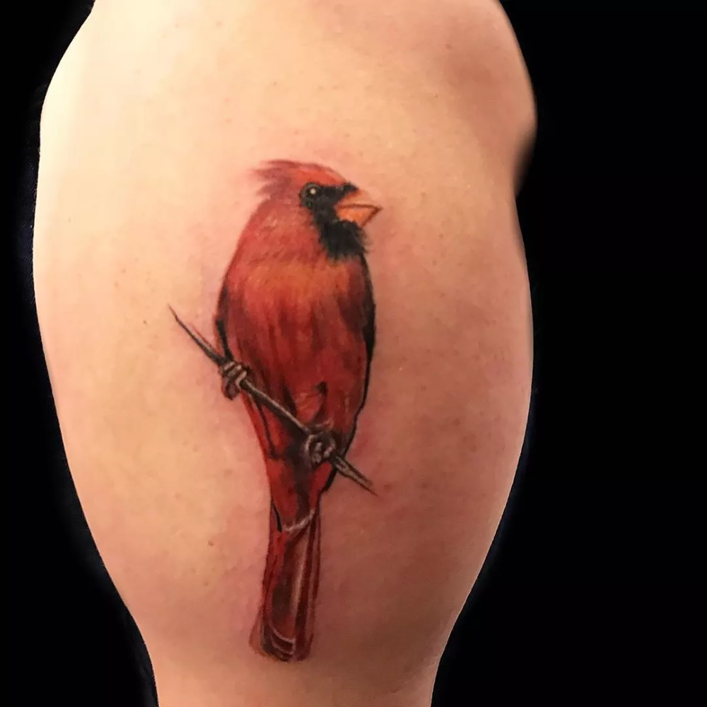 180 Best Cardinal Tattoos Designs With Meanings 2023 Artofit