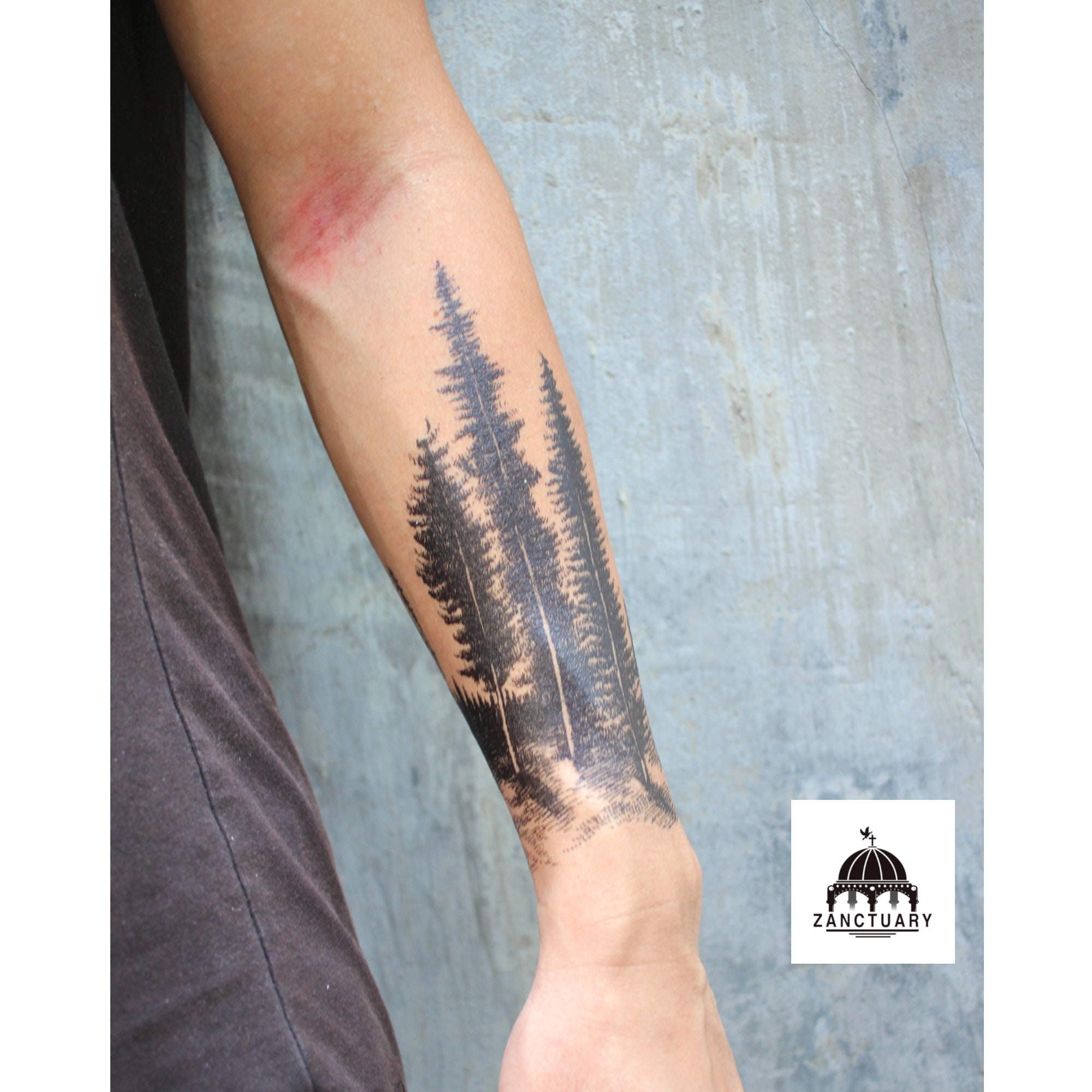 20 Stunning Pine Tree Tattoo Ideas For Men Women In 2023