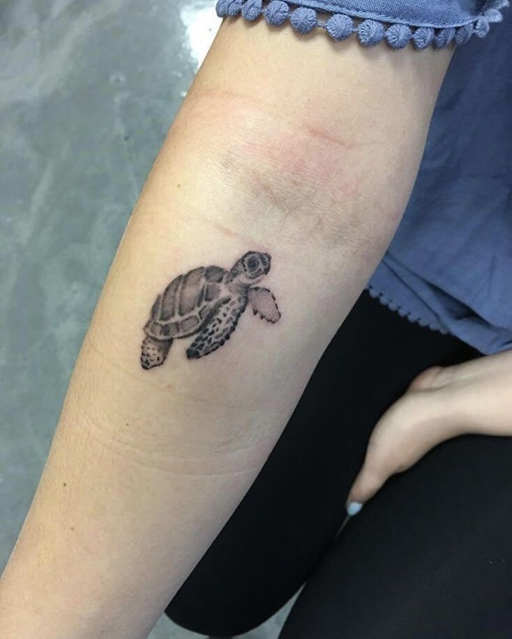 21 Small Simple Turtle Tattoo Designs Petpress M Tattoos Tattoo