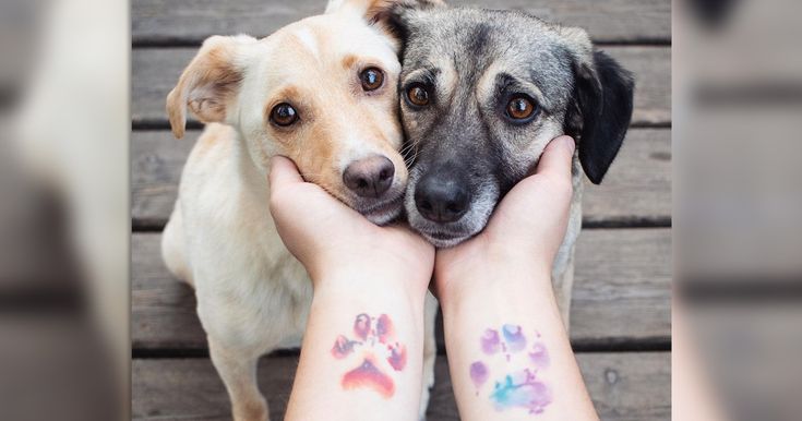 23 Surprisingly Sweet Stunning Paw Print Tattoos