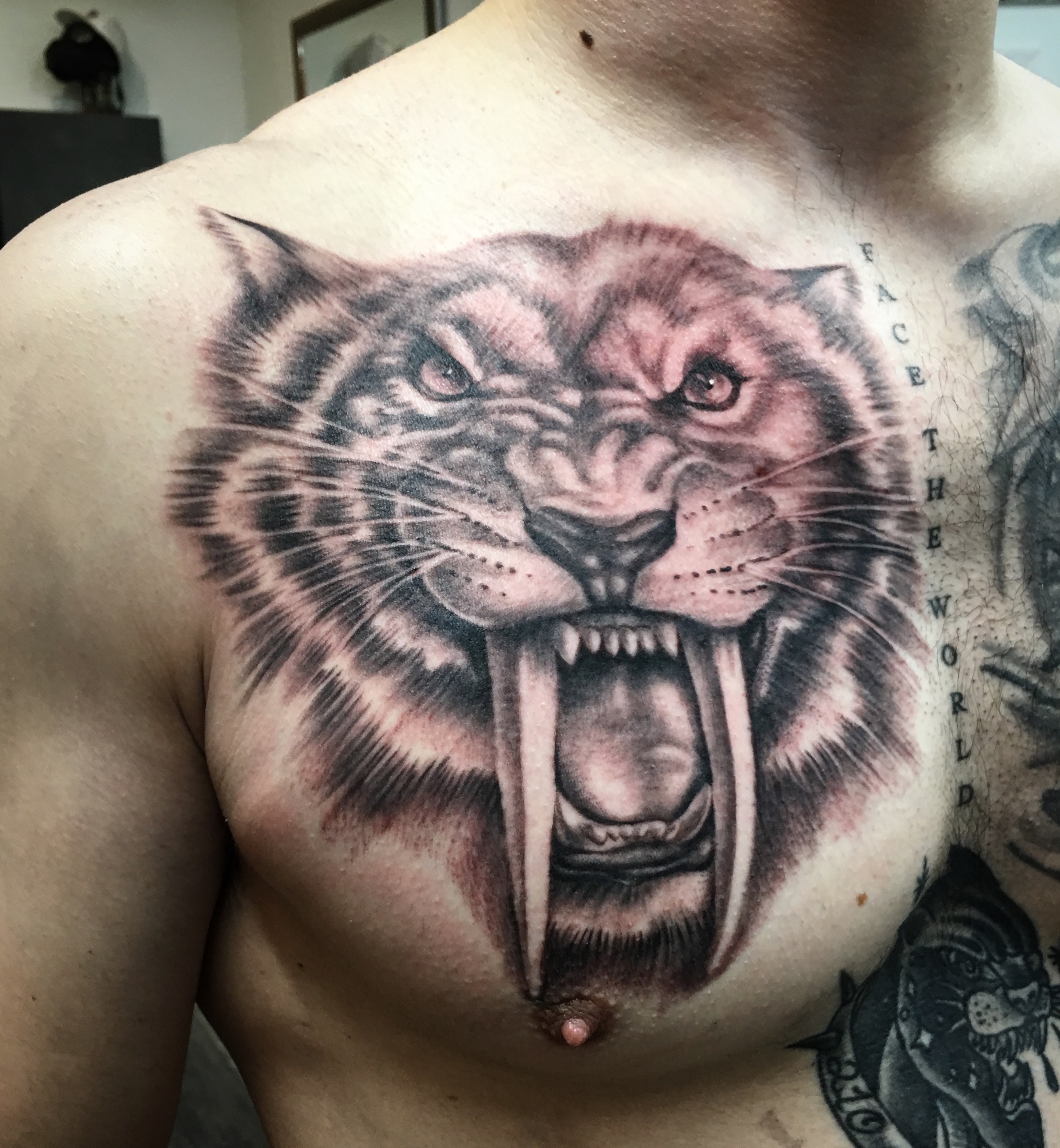 25 07 2017 019 Tattoo Saber Toothed