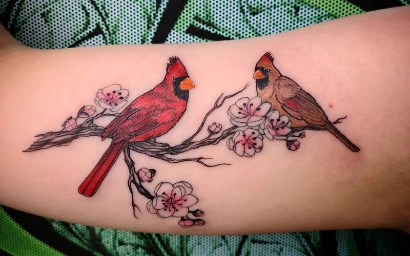 25 Awesome Cardinal Tattoos For Men And Women Artofit