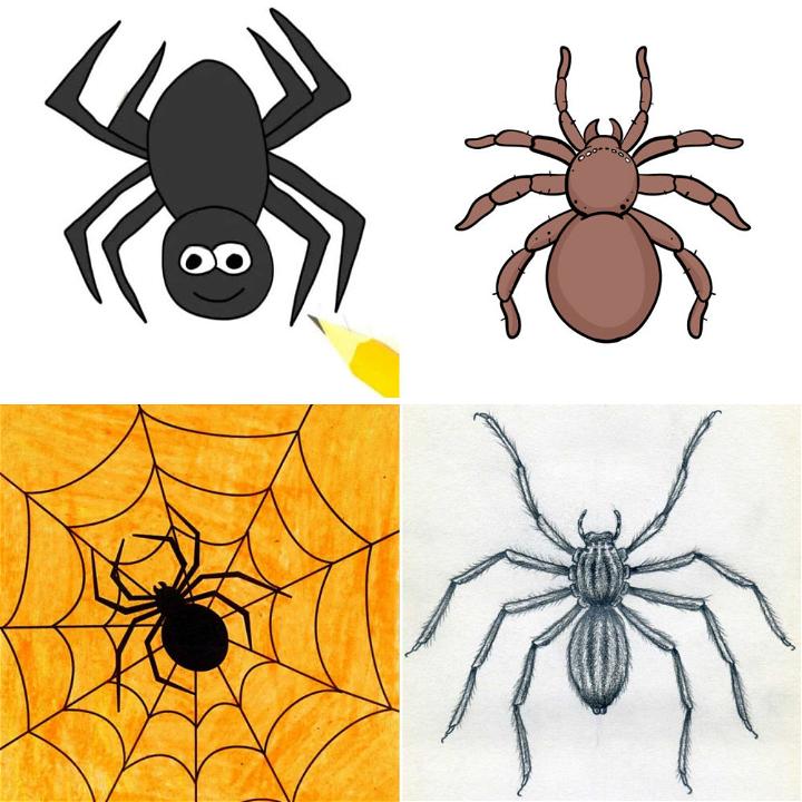 25 Easy Spider Drawing Ideas How To Draw A Spider