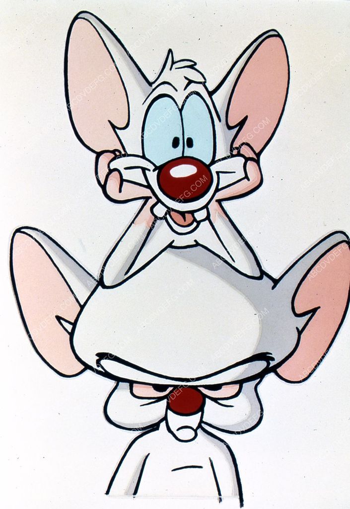 26 Pinky And The Brain Sketch Ulfisulistya