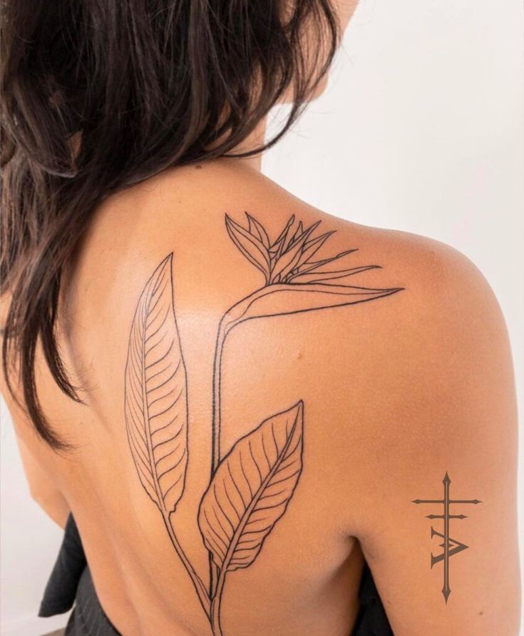 28 Bird Of Paradise Tattoos For Women Ideas Bird Of Paradise Tattoo