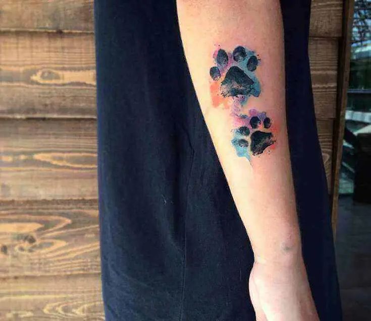 30 Dog Paw Tattoo Ideas For Men And Women Petpress