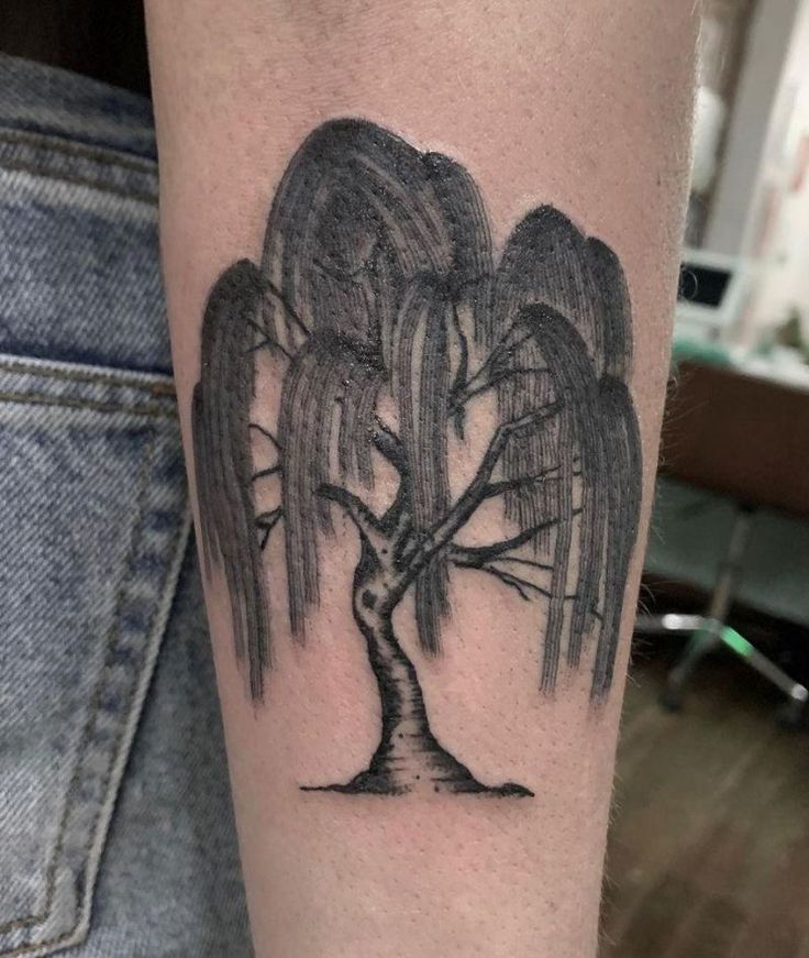 30 Pretty Weeping Willow Tattoos You Must Try Willow Tree Tattoos