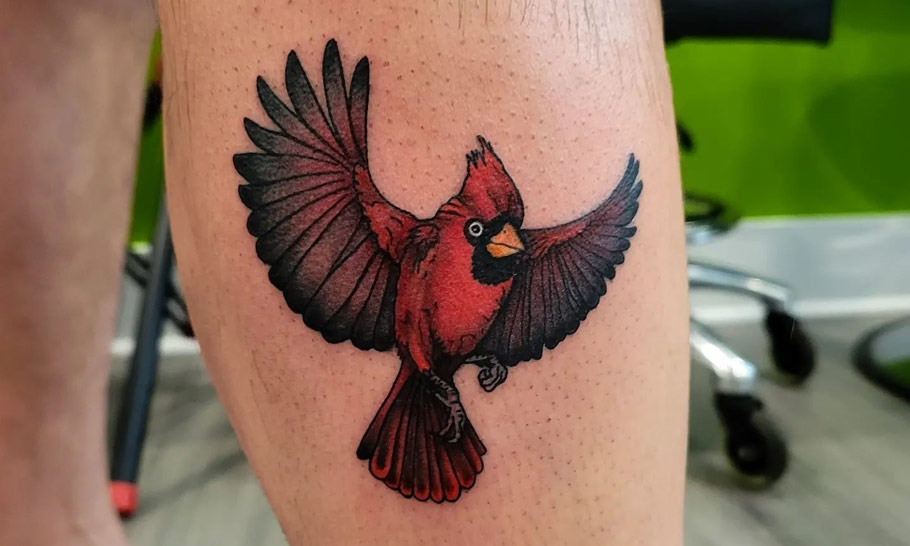 34 Motivational Cardinal Tattoos With Exclusive Ideas