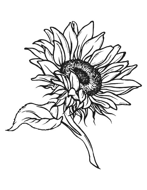 35 Sun Flower Tattoo Outlines Ideas Flower Tattoo Sunflower Tattoo