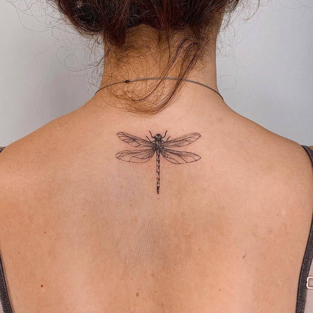 390 Best Dragonfly Tattoo Ideas Dragonfly Tattoo Dragonfly Tattoo