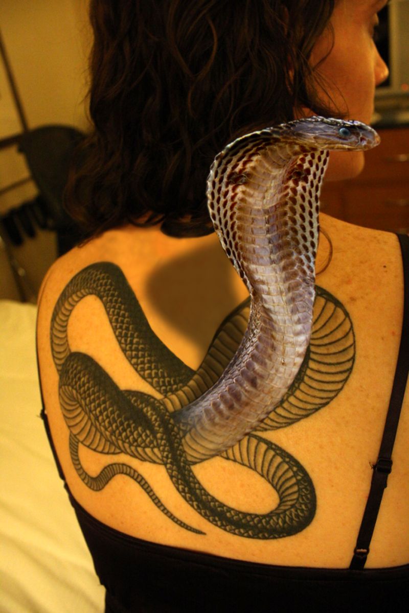 3D Snakes Tattoo On Upper Back Art Designs