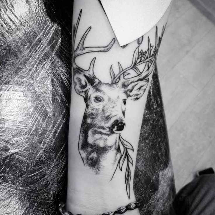 40 Cool Animal Tattoos That You Shouldn T Miss Out On Lovely Animals