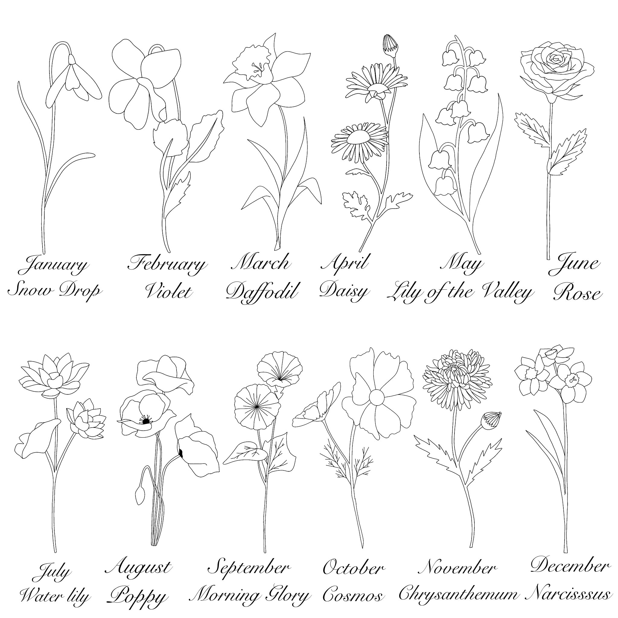 429 Birth Month Flower Line Drawing Images Stock Photos Amp Vectors Shutterstock