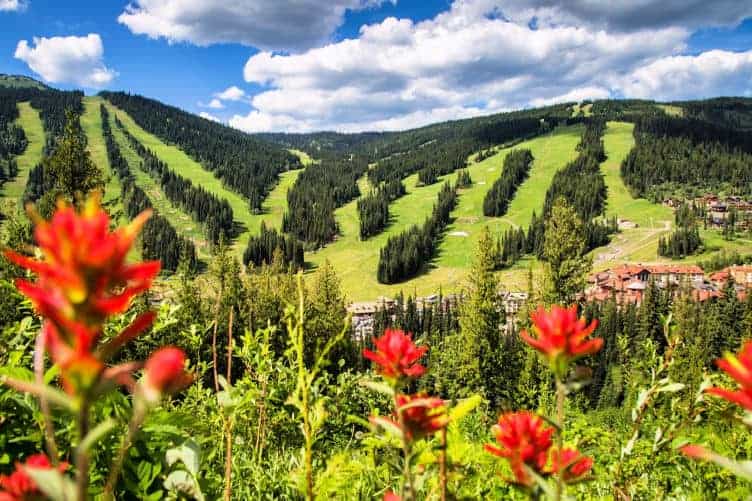 5 Reasons To Visit Sun Peaks In Summer Sun Peaks Resort