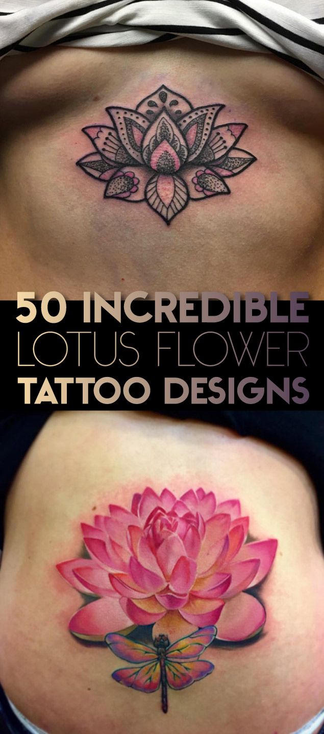 50 Incredible Lotus Flower Tattoo Designs Tattooblend