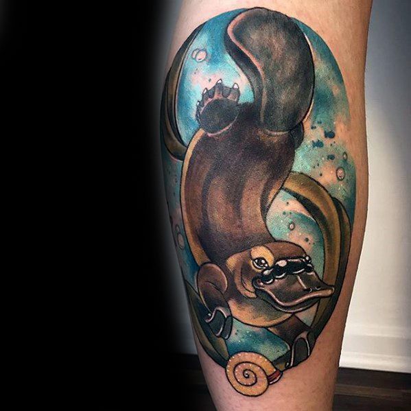 50 Platypus Tattoo Designs For Men