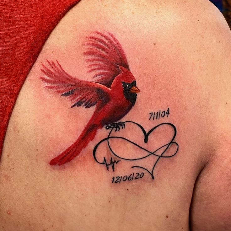 58 Best Cardinal Tattoos Images On Pinterest Animal Tattoos Cardinal