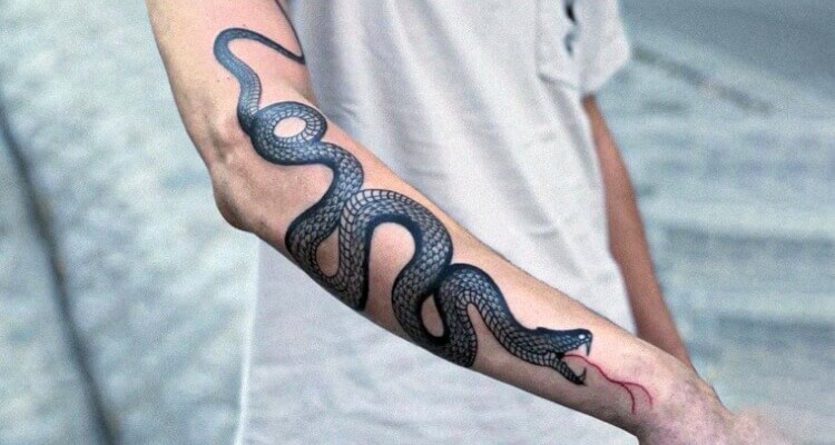 60 Amazing Snake Tattoo Designs And Ideas For Men And Women