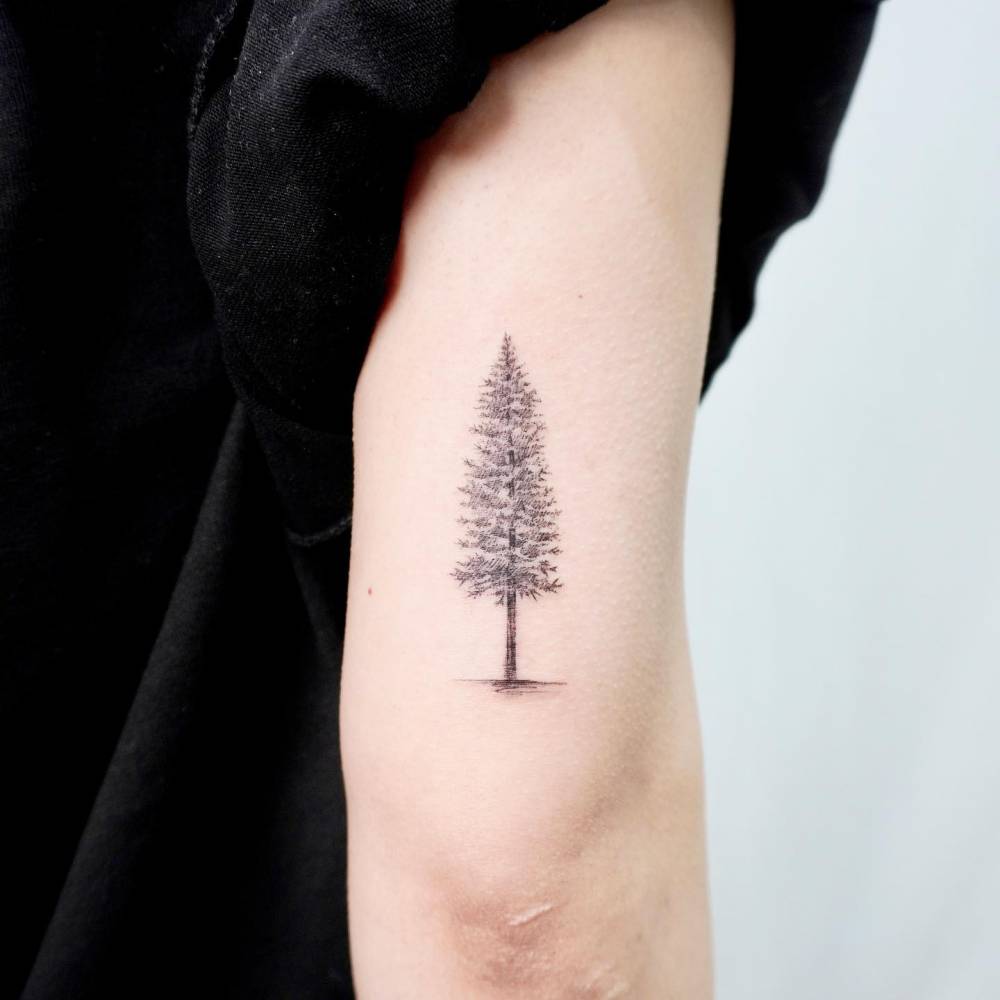 70 Pine Tree Tattoo Ideas For Men Wood In The Wilderness