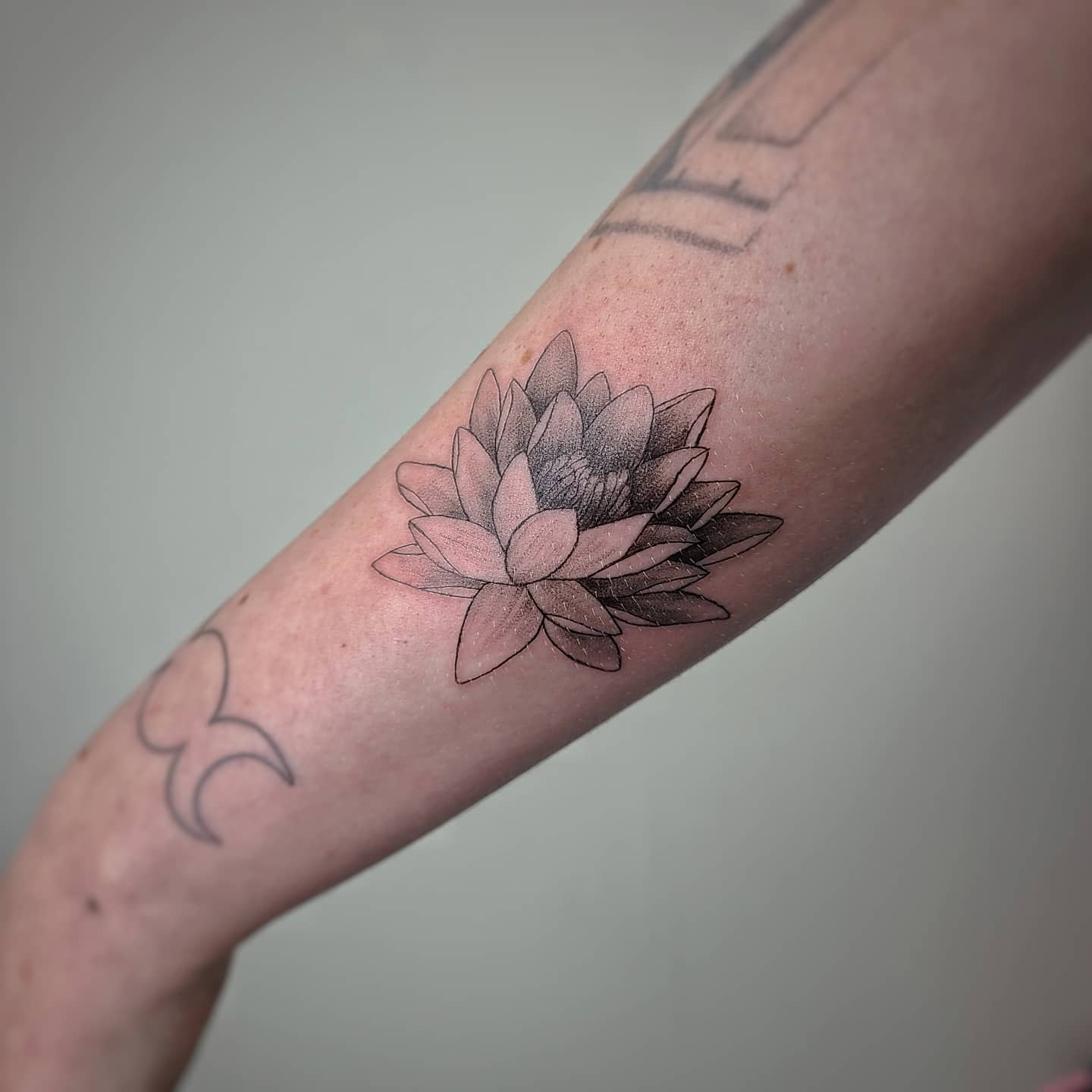 71 Simple Water Lily Tattoo Designs Meanings Tattoo Glee