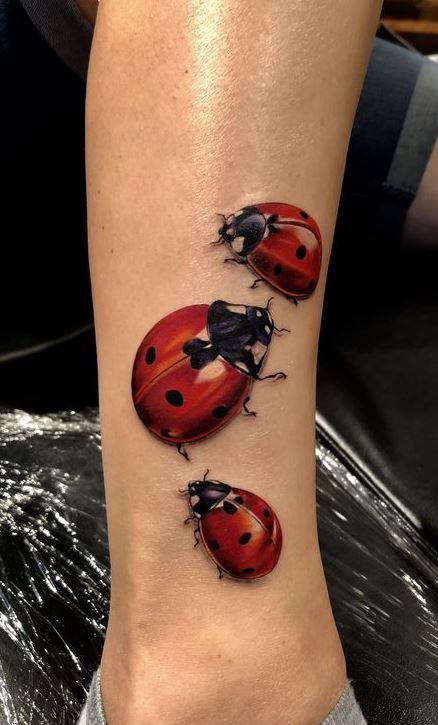 85 Ladybug Tattoos A Symbol Of Luck Beauty 2000 Daily