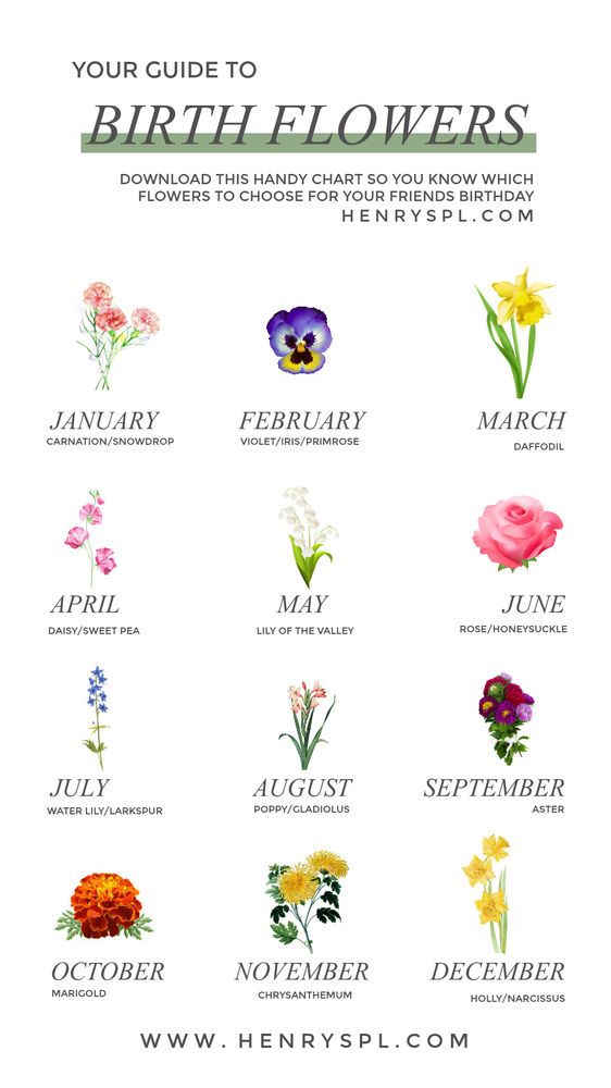 A Guide To Birth Month Flowers Carrie Leber Birth Flowers Birth