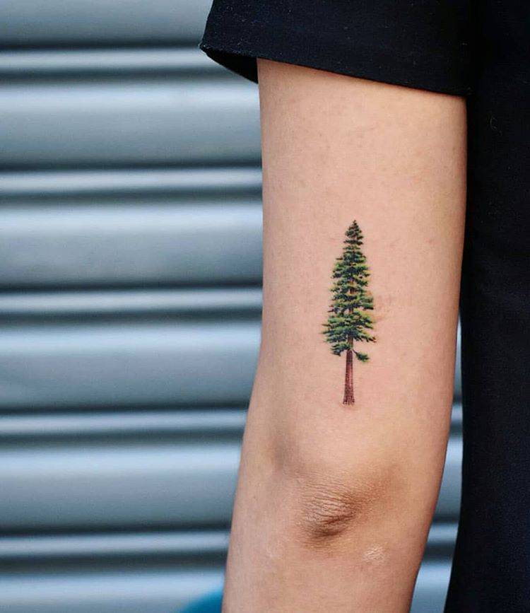 A Small Pine Tree Tattoo On The Arm