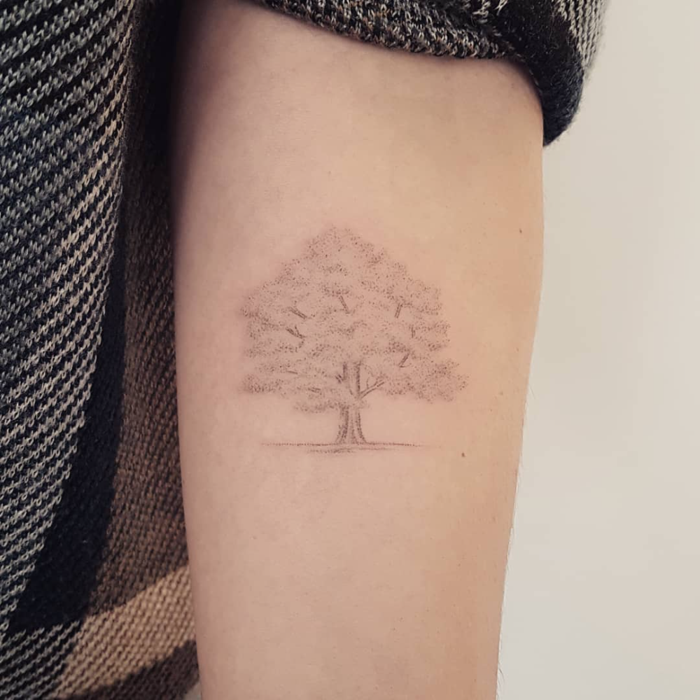 Aggregate More Than 73 Oak Tree Tattoo Ideas Latest In Eteachers