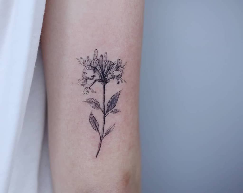 Amazing Honeysuckle Tattoo Ideas And Their Meaning