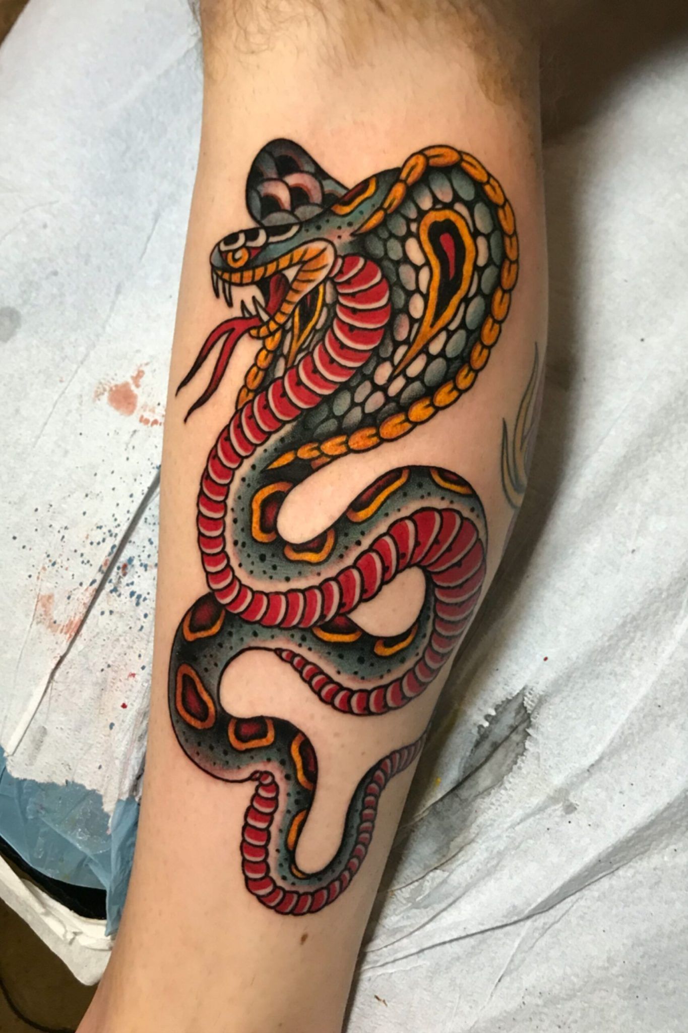 American Traditional Cobra Tattoo Whatisdrawingconclusionsmean