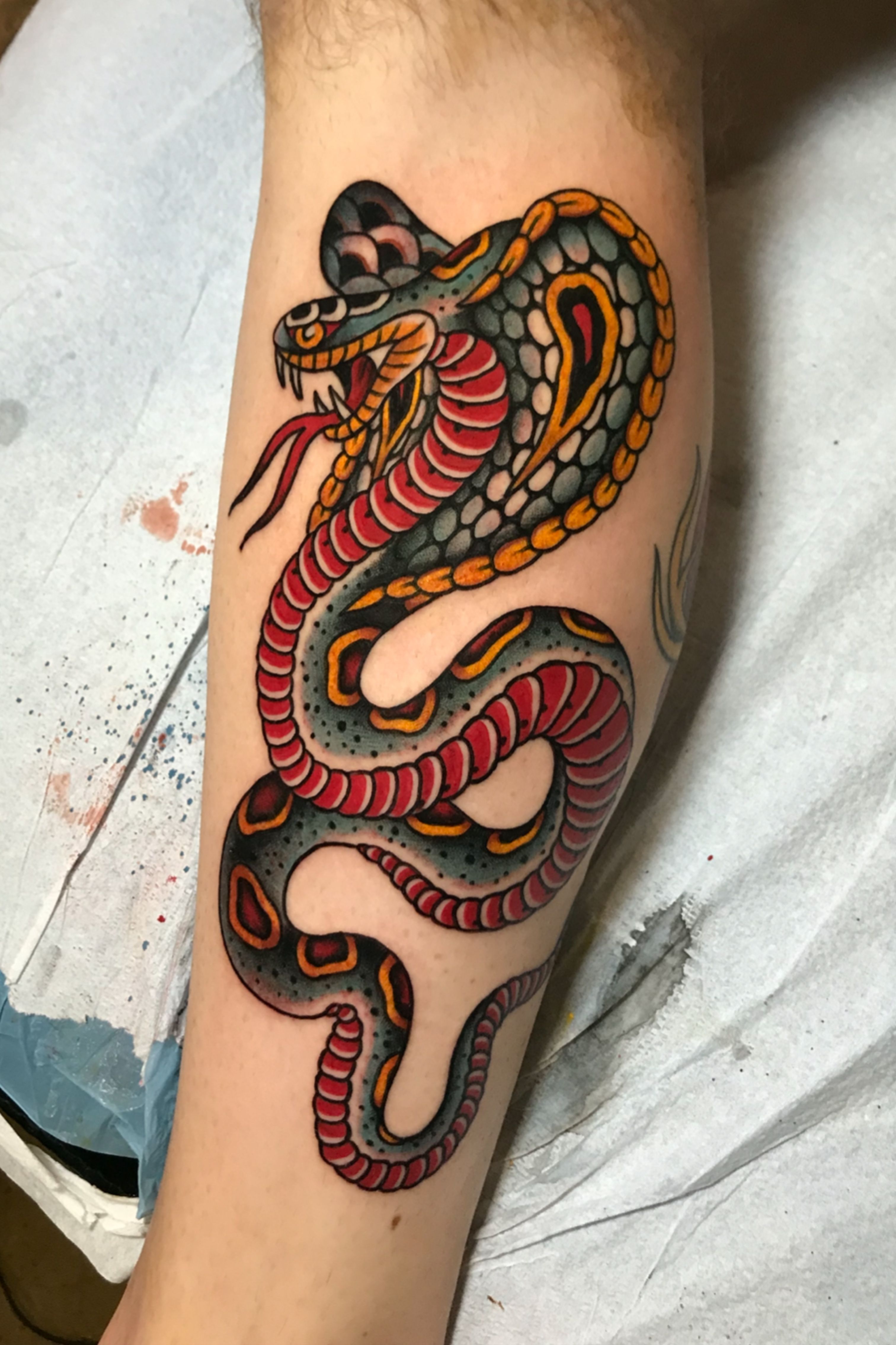 Discover the Iconic American Traditional Cobra Tattoo Designs