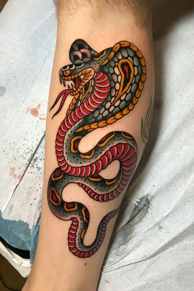 American Traditional Snake Tattoo By Black Cobra Tattoos Katie Mcgowan