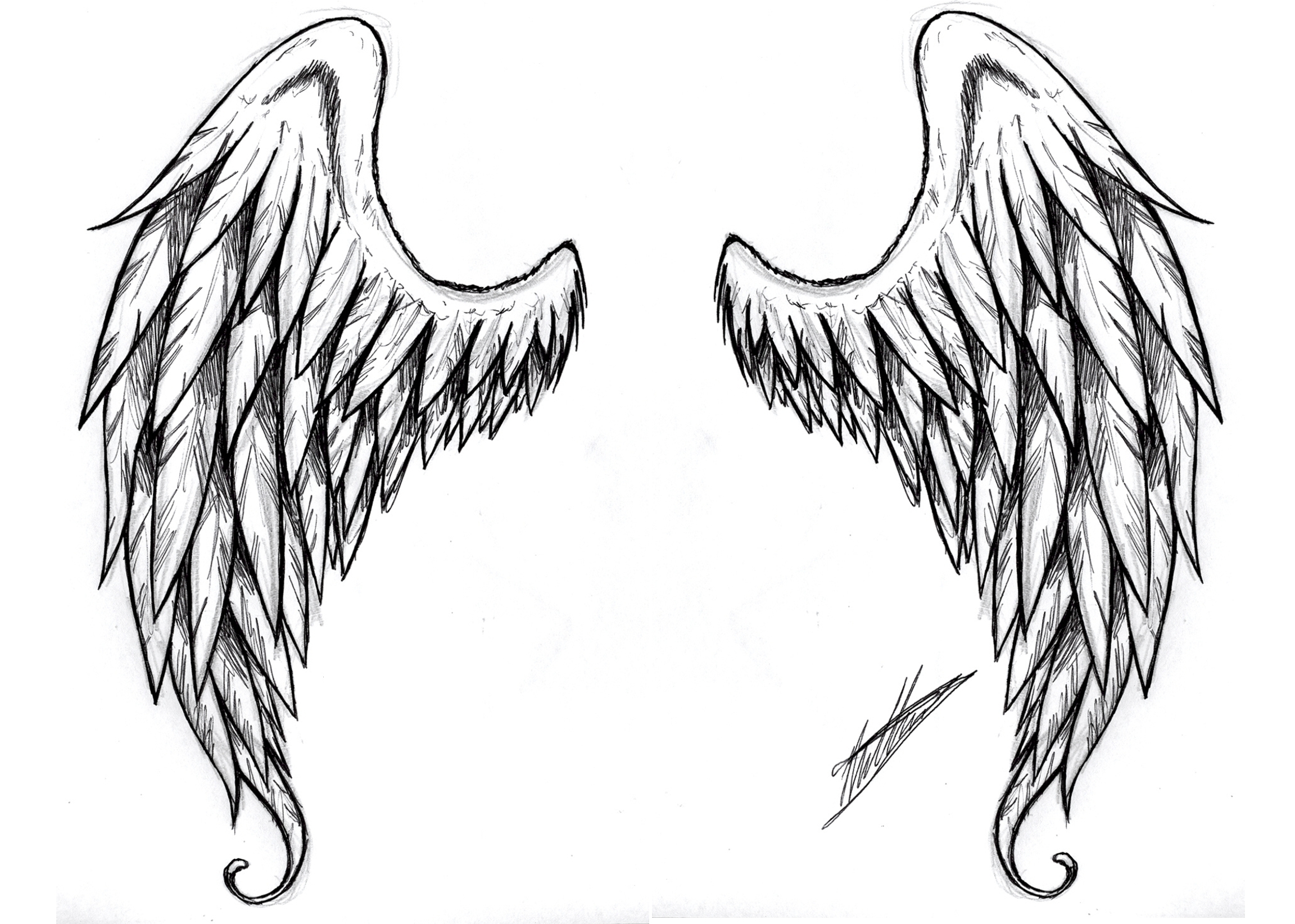 Angel Wings Tattoo Drawing Outline