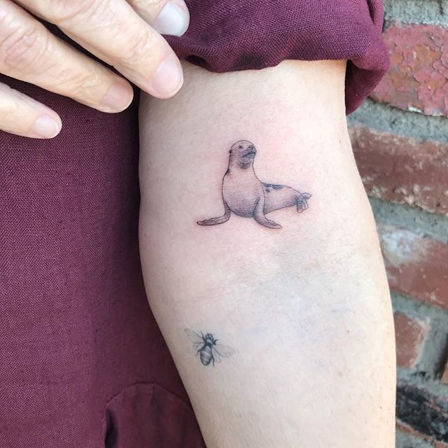 Animal Tattoo 16 Cute Seal Tattoos Ideas For Women And Men Seal