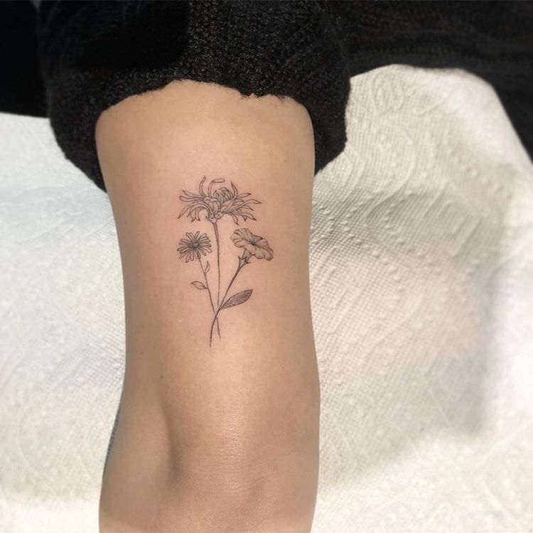 Aster And Morning Glory Tattoo Meaningful Ink Designs Stunning